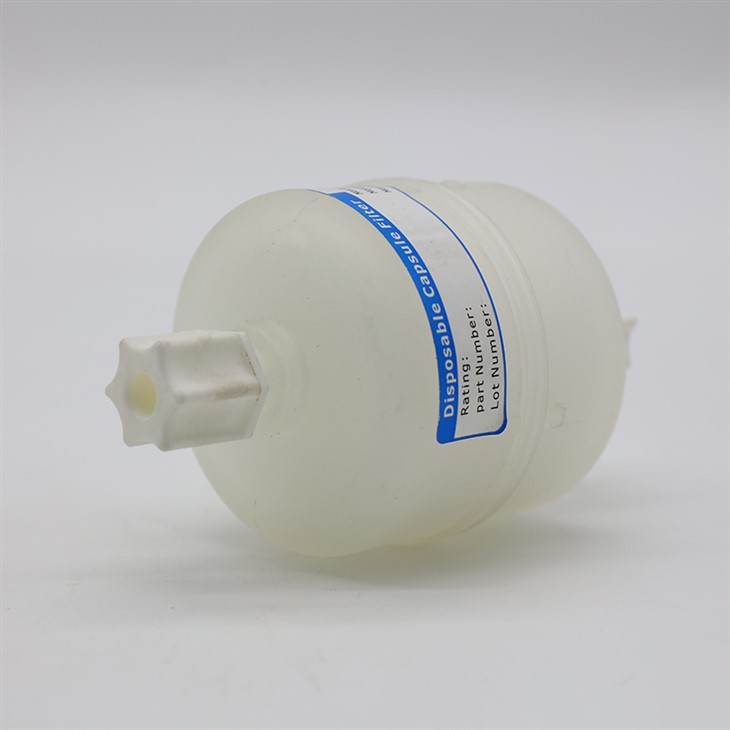 Hydrophilic Capsule Filter